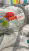Shop Bright Starts Portable Swing, Playful Paradise at GoodBuy Gear