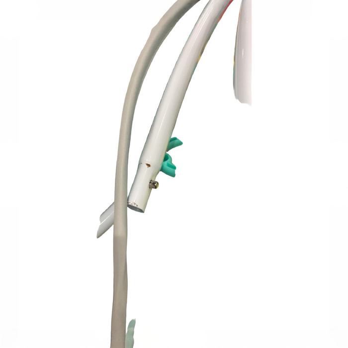Shop Bright Starts Portable Swing, Playful Paradise at GoodBuy Gear