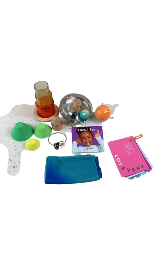 Shop Lovevery The Explorer Play Kit at GoodBuy Gear