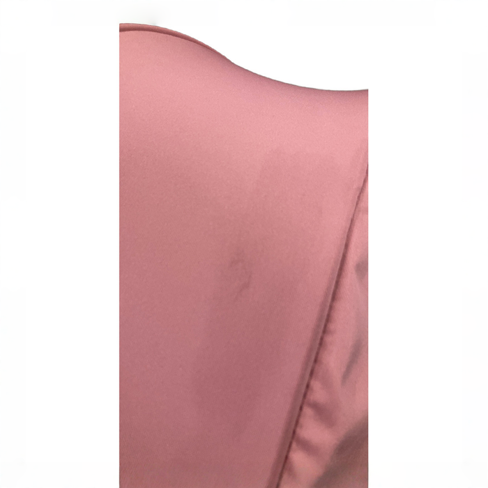 Shop Parent’s Choice Lightweight Quick Fold Baby Stroller, 2025, Dusty Rose at GoodBuy Gear