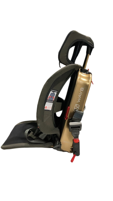 Shop WAYB Pico Portable Car Seat, 2022, Earth at GoodBuy Gear