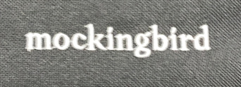 Shop Mockingbird 2nd Seat Kit 2.0, No Canopy, No Canopy, No Bumper Bar at GoodBuy Gear