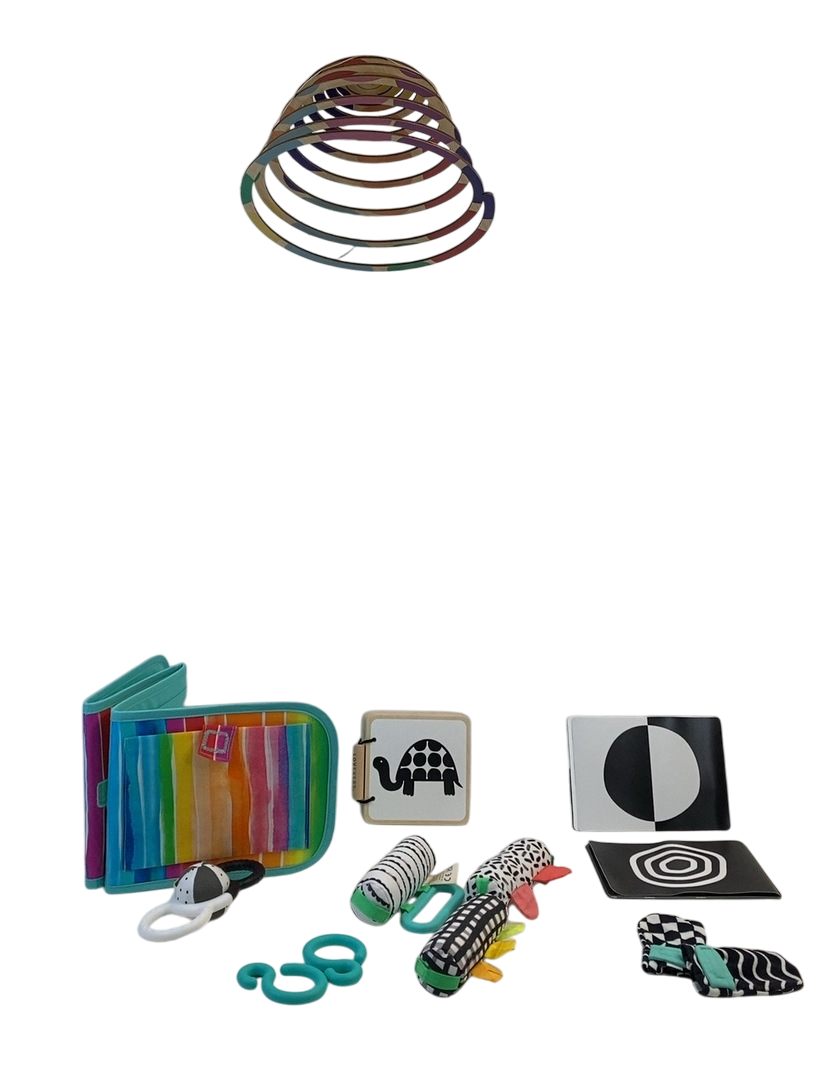 Lovevery The Looker Play Kit — GoodBuy Gear