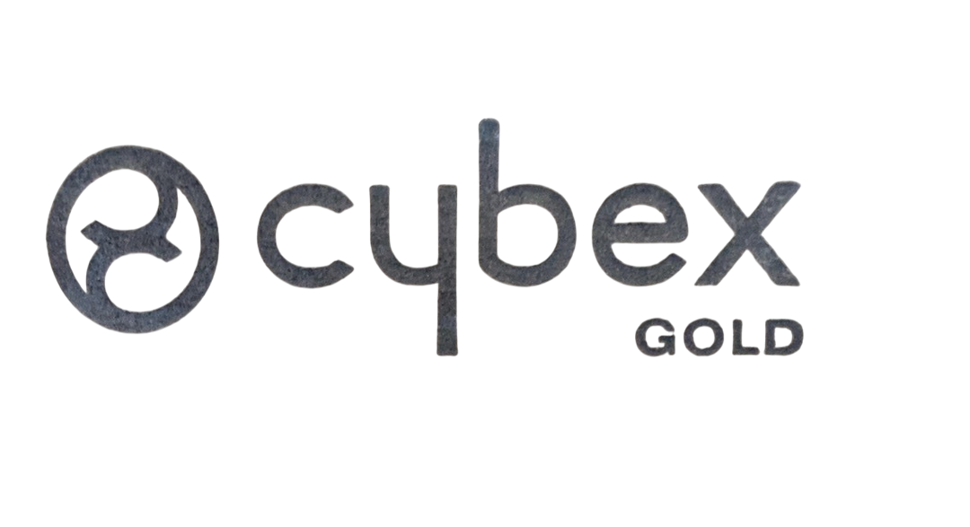 Shop Cybex Mios Seat And Frame, 2024, Rosegold at GoodBuy Gear