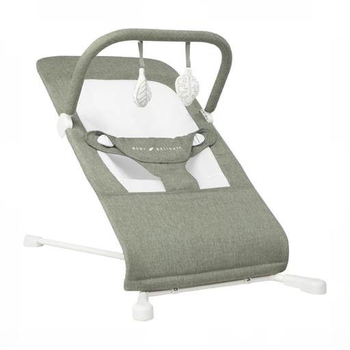 Shop Baby Delight Highland Bouncer, Sage Tweed at GoodBuy Gear