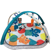 Shop Baby Einstein 4-in-1 Kickin’ Tunes Music Activity Gym at GoodBuy Gear