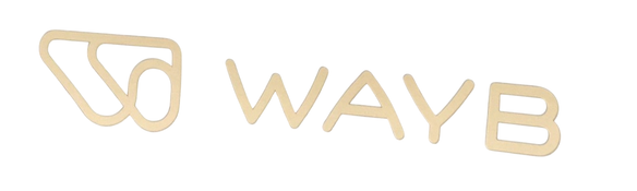 Shop WAYB Pico Portable Car Seat, 2024, Midnight Sky at GoodBuy Gear