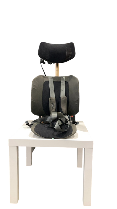 Shop WAYB Pico Portable Car Seat, 2023, Earth at GoodBuy Gear