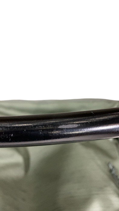 Shop Thule Sapling Child Carrier, Agave at GoodBuy Gear