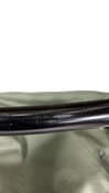 Shop Thule Sapling Child Carrier, Agave at GoodBuy Gear