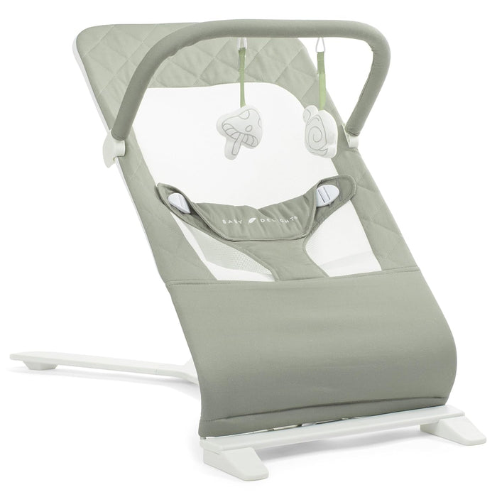 Baby Delight Alpine Deluxe Portable Bouncer, Organic Sage