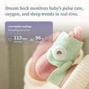 Shop Owlet Dream Duo 2, Mint at GoodBuy Gear