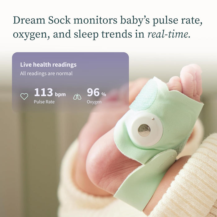 Shop Owlet Dream Duo 2, Mint at GoodBuy Gear
