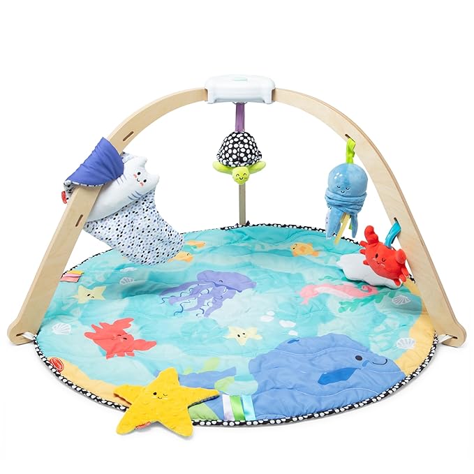 Melissa & Doug Ocean Easy-Fold Play Gym, Multicolor