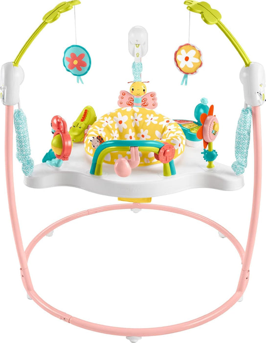 Fisher Price Jumperoo Activity Center, Blooming Fun