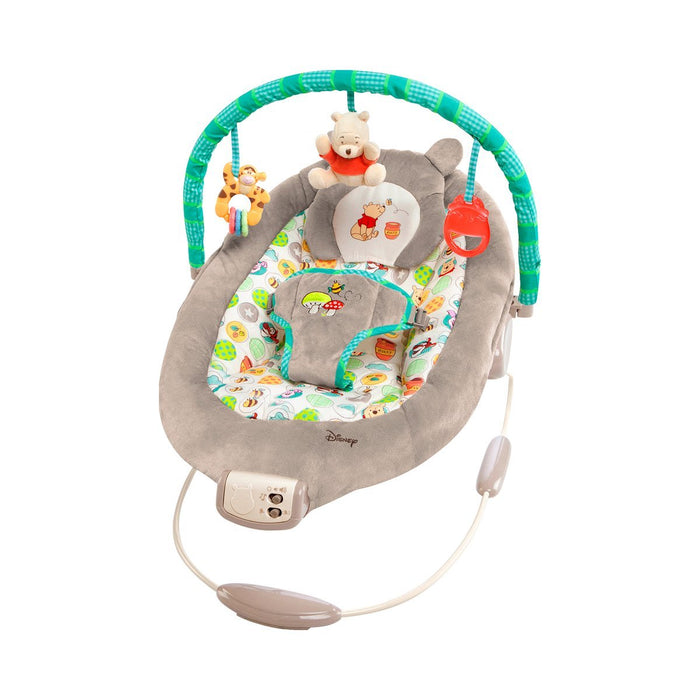 Disney Baby Winnie The Pooh Bouncer
