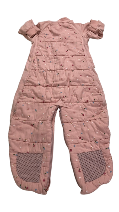 Shop ErgoPouch Sleep Suit Bag 2.5 TOG, 8-24 months, Daisies at GoodBuy Gear
