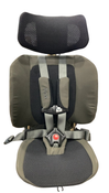 Shop WAYB Pico Portable Car Seat, 2022, Earth at GoodBuy Gear