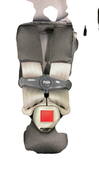 Shop Chicco Keyfit 35 Infant Car Seat, 2022, Element at GoodBuy Gear