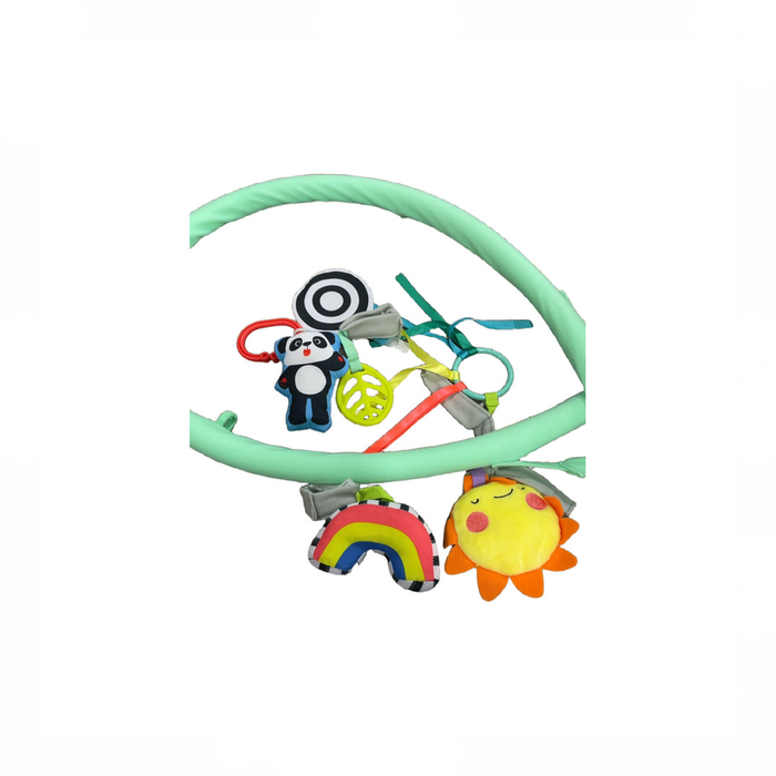 Shop Sassy 3-in-1 Sensory Milestone Play Gym, 0M+ at GoodBuy Gear