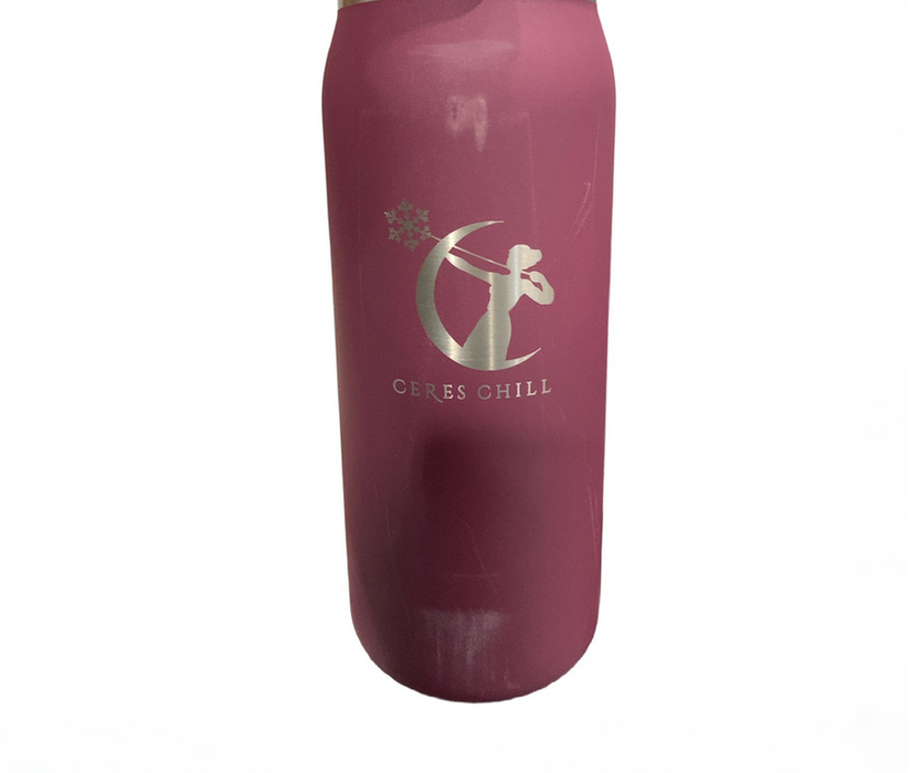 Shop Ceres Chill Legacy Breastmilk Chiller (32oz), Plum at GoodBuy Gear