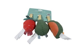 Shop Pearhead Baby Stroller Toy Set, Fruit at GoodBuy Gear