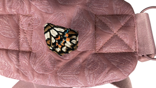 Shop Mabē The Monarch Carrier, Mauve Wings/Pink Butterflies at GoodBuy Gear