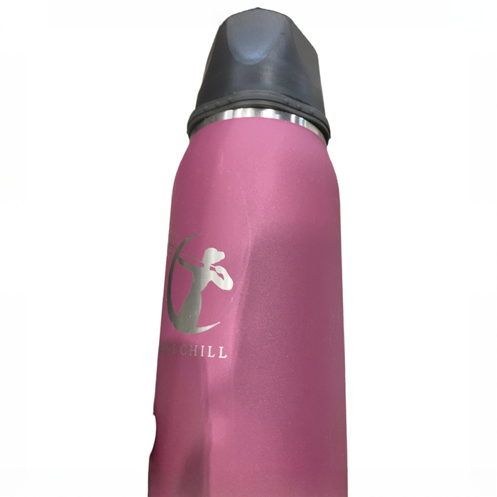 Shop Ceres Chill Legacy Breastmilk Chiller (32oz), Plum at GoodBuy Gear