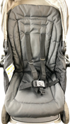 Shop Graco Ready2Grow LX 2.0 Double Stroller, 2024, Clark at GoodBuy Gear