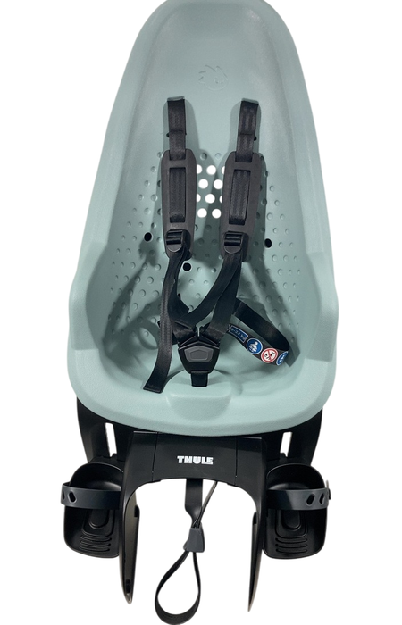 Shop Thule Yepp 2 Maxi, Alaska, Rack Mount at GoodBuy Gear