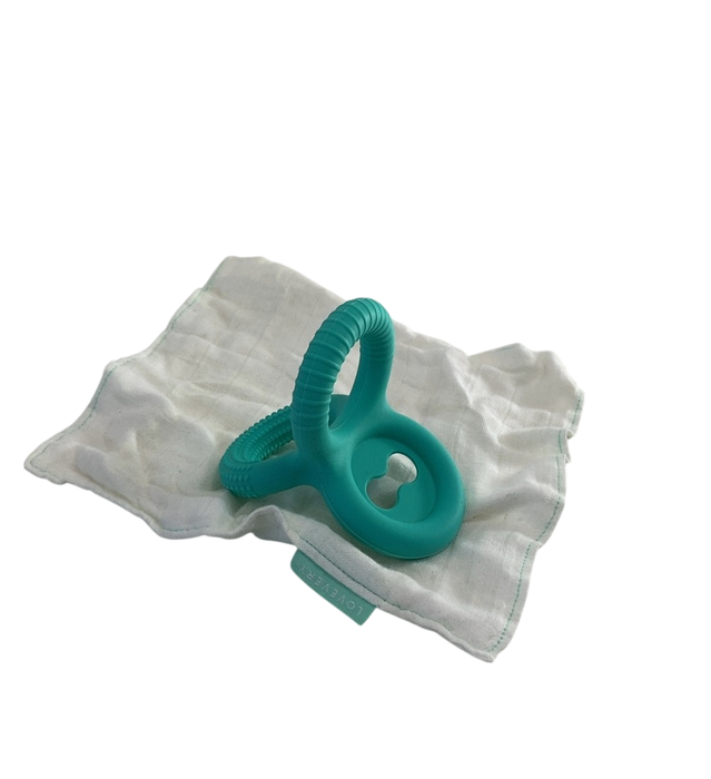 Shop Lovevery The Charmer Play Kit at GoodBuy Gear