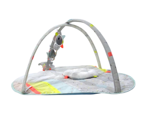 Shop Skip Hop Activity Gym Play Mat, Silver Lining Cloud at GoodBuy Gear
