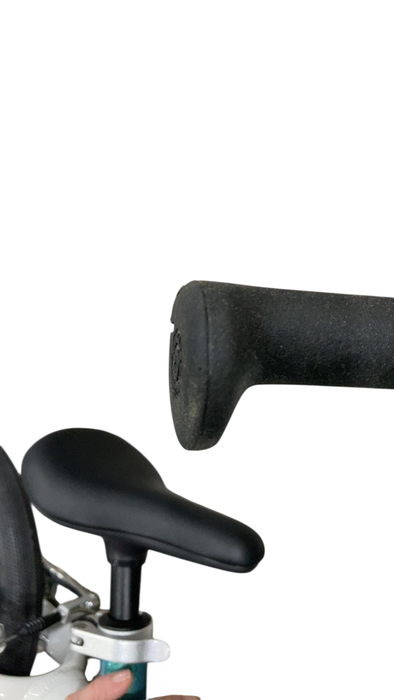 Shop Woom GO 1 Balance Bike, Metallic turquoise at GoodBuy Gear
