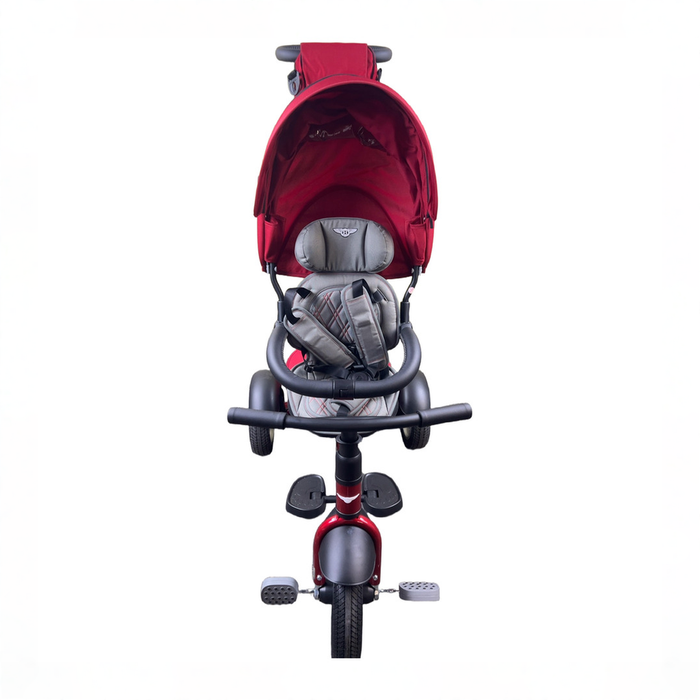 Shop DRAFT - Bentley 6-In-1 Stroller Trike, Dragon Red, unknown at GoodBuy Gear