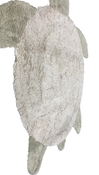 Shop Lorena Canals Washable Rug Turtle at GoodBuy Gear