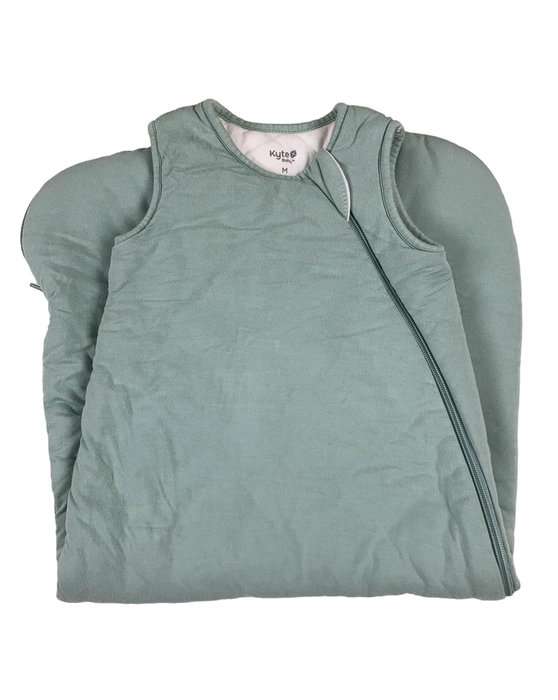 Shop Kyte Baby Sleep Bag 2.5, Medium(18-30 pounds), Sage at GoodBuy Gear