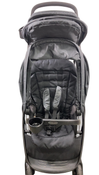Shop Graco Ready2Grow 2.0 Double Stroller, 2024, Rafa at GoodBuy Gear