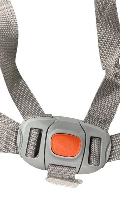 Shop Bright Starts Portable Swing, Playful Paradise at GoodBuy Gear