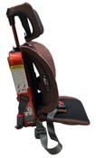 Shop WAYB Pico Portable Car Seat, 2023, Golden Hour at GoodBuy Gear
