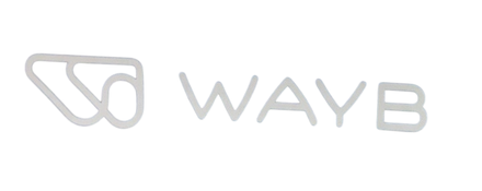 Shop WAYB Pico Portable Car Seat, 2023, Midnight Sky at GoodBuy Gear