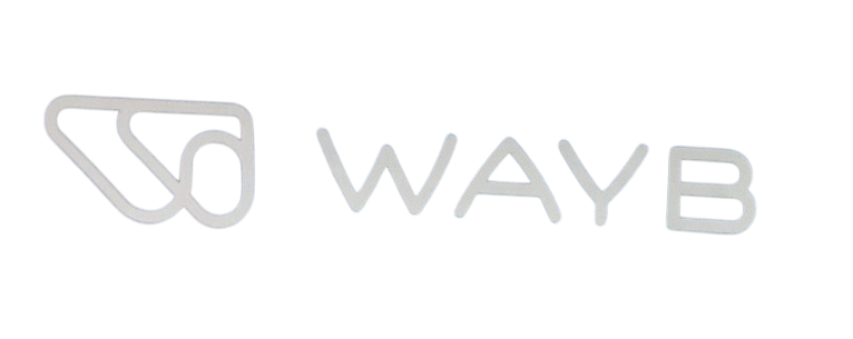 Shop WAYB Pico Portable Car Seat, 2023, Midnight Sky at GoodBuy Gear