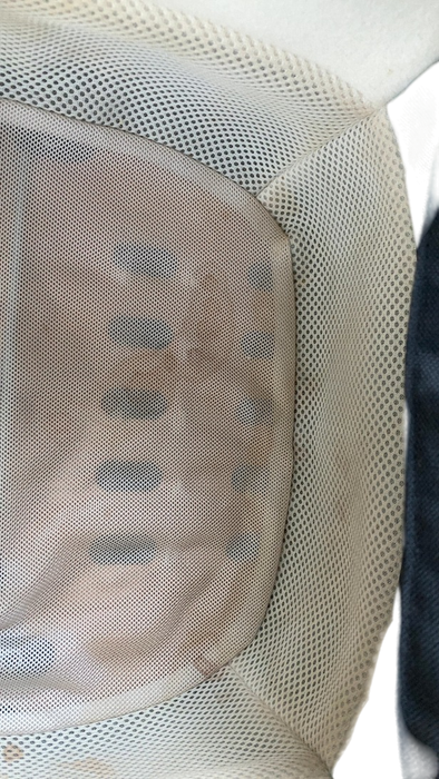 Shop Nuna Demi Grow Bassinet + Stand, 2023, Caviar at GoodBuy Gear