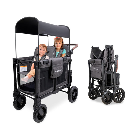 Shop Wonderfold W2 Luxe Pro Double Stroller Wagon, Charcoal Gray, 2 Seater at GoodBuy Gear