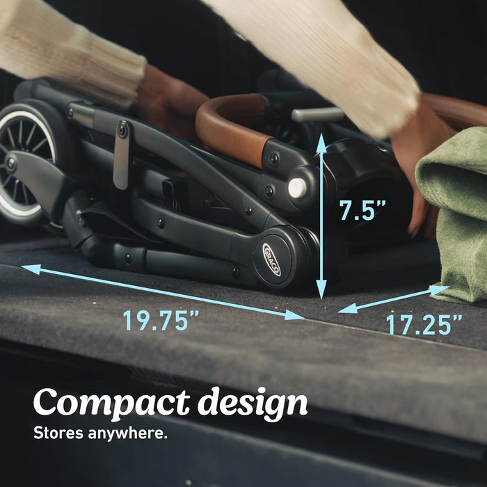 Graco GoMax Travel System, Ace