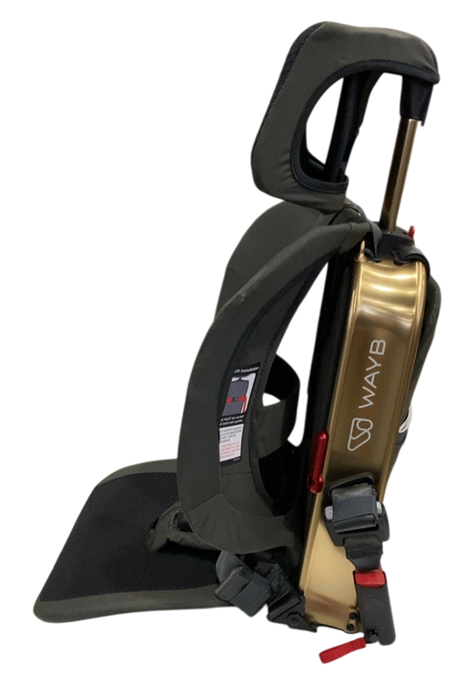 Shop WAYB Pico Portable Car Seat, 2024, Earth at GoodBuy Gear