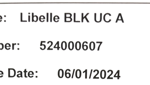 Shop Cybex Libelle 2 Compact Stroller, 2024, Almond Beige at GoodBuy Gear