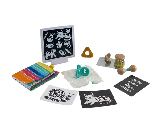 Shop Lovevery The Charmer Play Kit at GoodBuy Gear