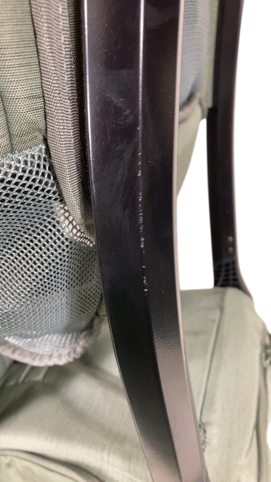 Shop Thule Sapling Child Carrier, Agave at GoodBuy Gear