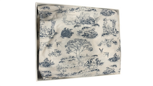 no bg image