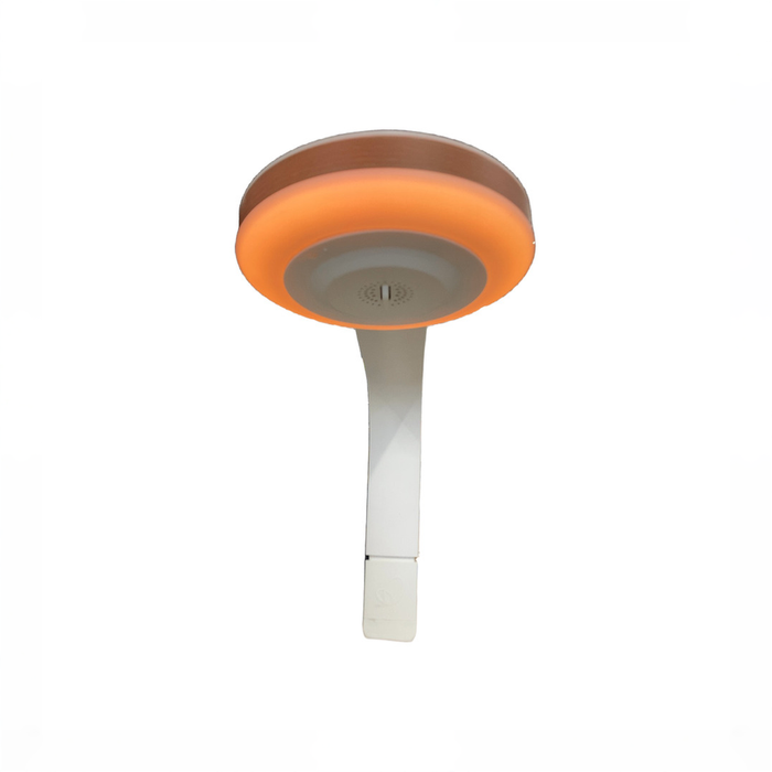 Shop Evenflo Lyra 2-in-1 Infant to Toddler Rocker, Coastal Coffee at GoodBuy Gear
